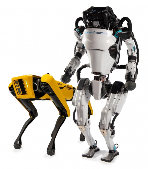 보스턴다이내믹스가 개발한 4족 보행 운송용 로봇 '스폿(왼쪽)'과 2족 직립 보행 로봇 ‘아틀라스’. 현대차그룹은 지난해 보스턴다이내믹스를 인수했다. /사진=보스턴다이내믹스